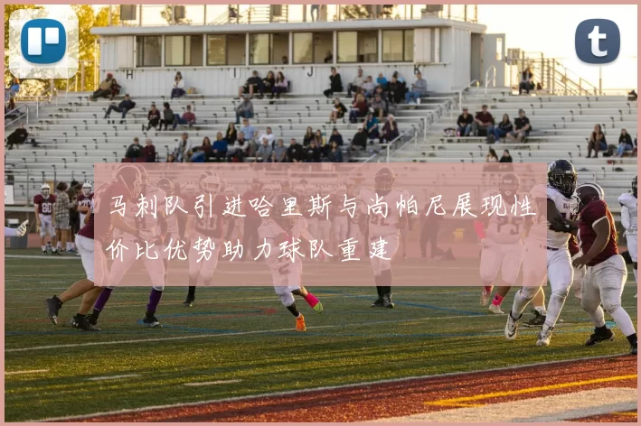 马刺队引进哈里斯与尚帕尼展现性价比优势助力球队重建